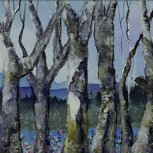 Old Growth Birch – Limited Edition Fine Art Print by K.L. Rockwell (Matted 9" x 12" or Unmatted 8" x 10")