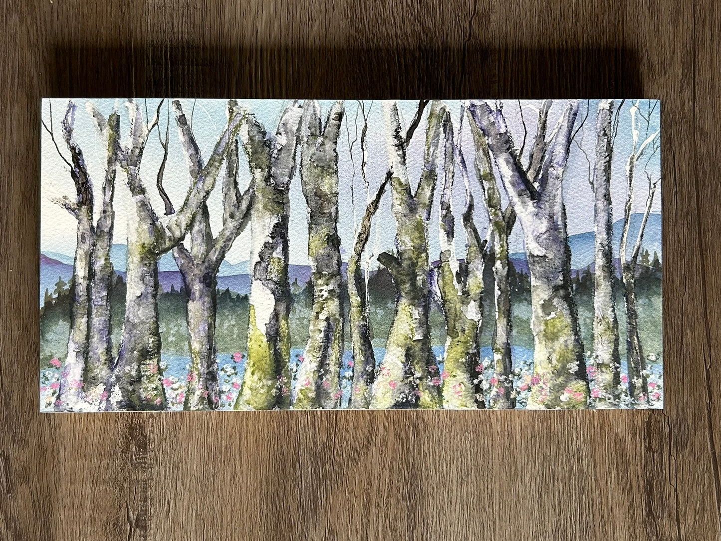 "Old-Growth Birch" - Original Watercolor Painting