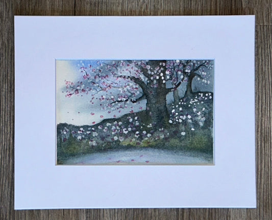 "Windswept Pink & White Blossoms" - Original Watercolor Painting