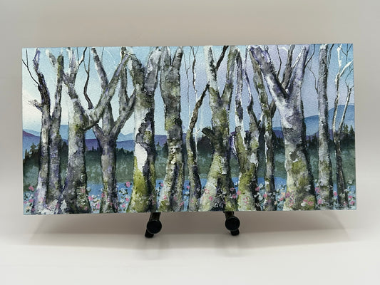 Old-Growth Birch – Original 6x12 Watercolor by K.L. Rockwell (Painted on Art Board, Ready to Hang)